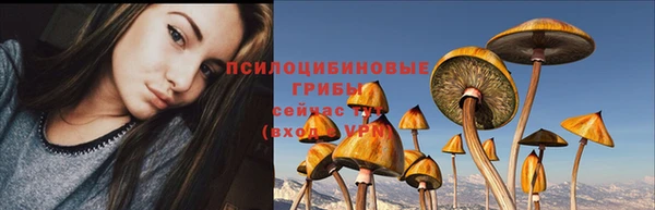МДПВ Армянск