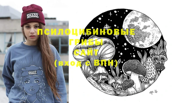 МДПВ Армянск