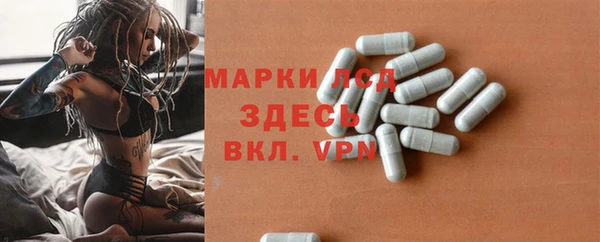 эйфоретик Аркадак
