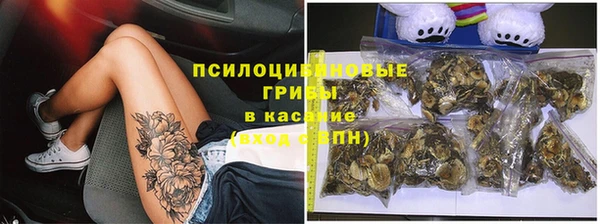 амф Арсеньев